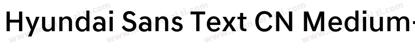 Hyundai Sans Text CN Medium字体转换